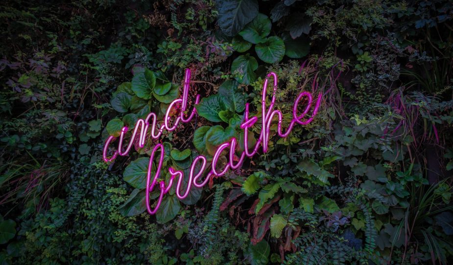 transformational breath